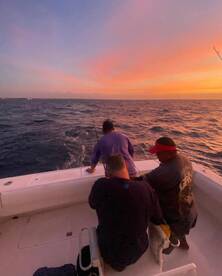 Puerto Aventuras Report Photo 2