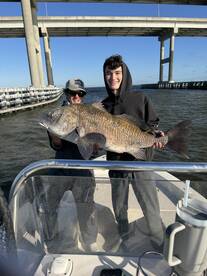 Blackdrum and tarpon!