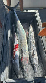 Fort Lauderdale Report Photo 2