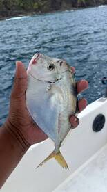 Herradura Report Photo 1