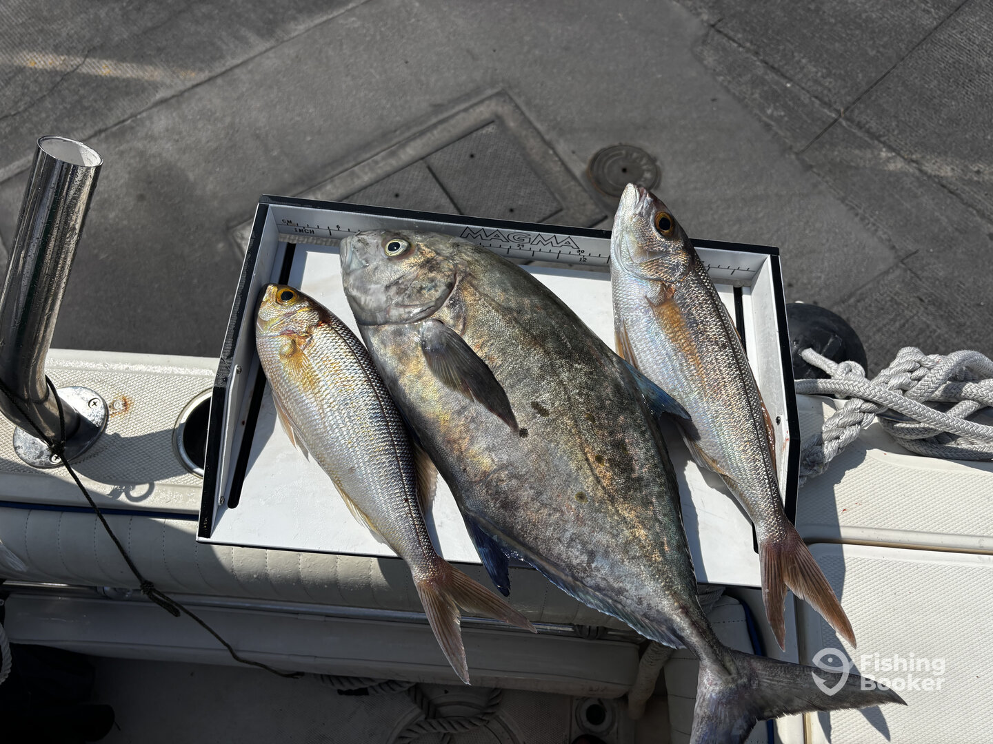 Kailua-Kona Report Photo 0