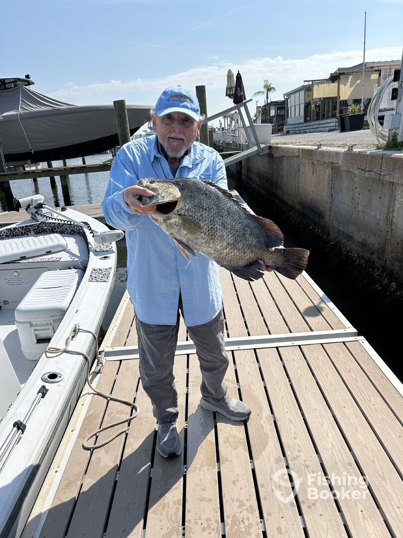 St. Petersburg Report Photo 0