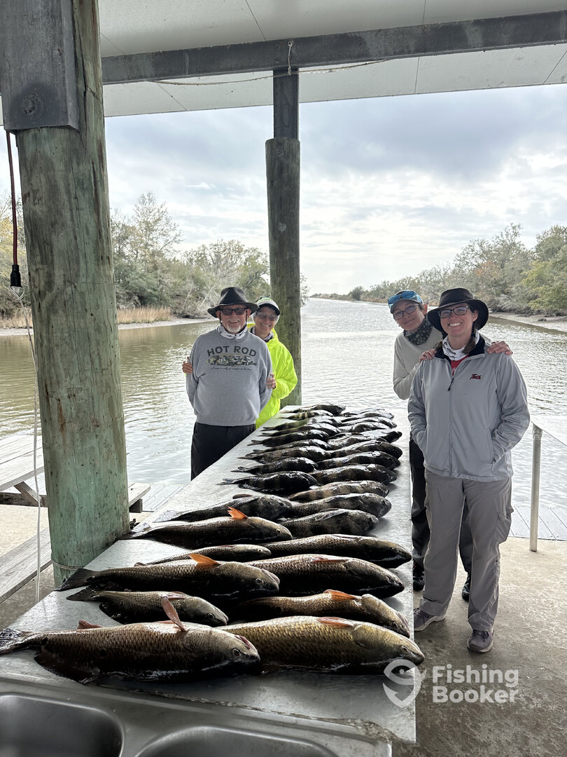 St. Bernard Report Photo 0