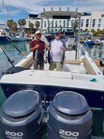 Fresh Sashimi for dinner! 