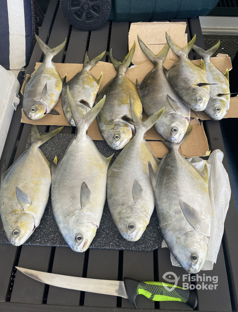 Santa Rosa Beach Report Photo 0