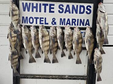 Port Isabel Report Photo 2