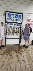 Black drum are on fire! 