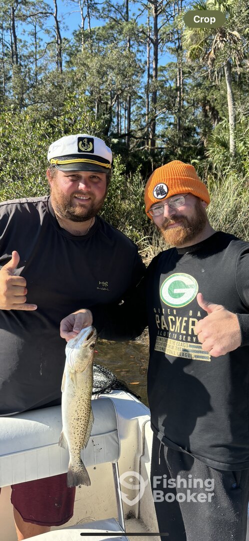 Spring Hill Report Photo 0