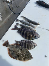 Port Canaveral Report Photo 1