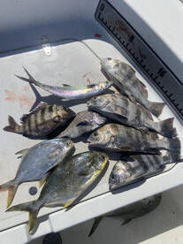 Port Canaveral Report Photo 2