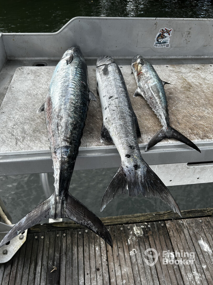 Boynton Beach Report Photo 0