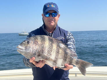 Hilton Head Island Report Photo 1