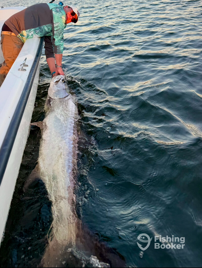 San Juan Report Photo 0