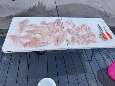 Fort Myers Report Photo 2