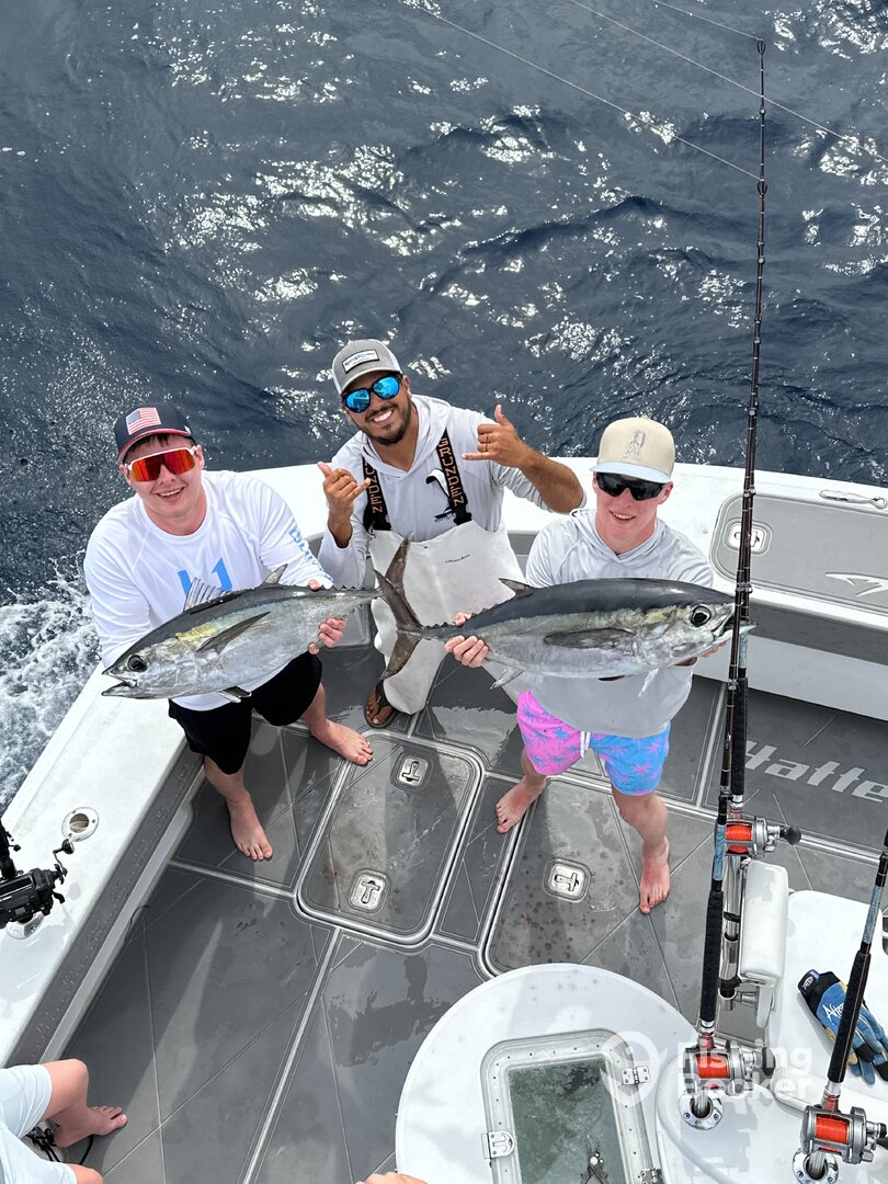 Miami Beach Report Photo 0