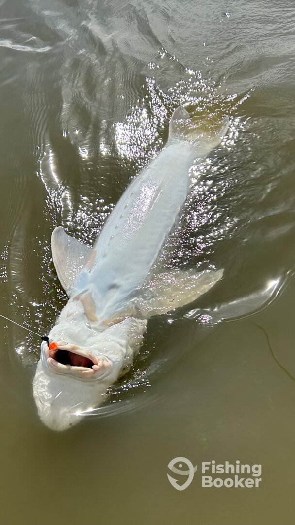 Berkeley Report Photo 0