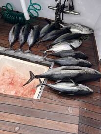 Fort Walton Beach Report Photo 2