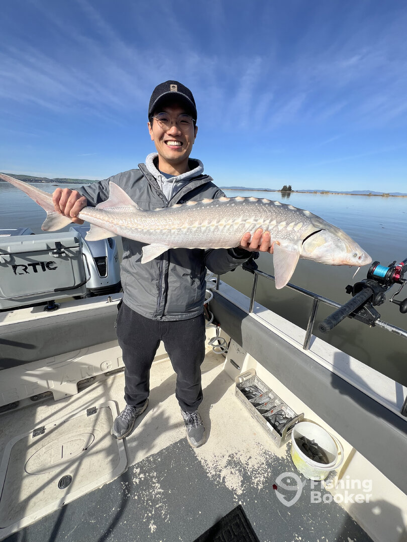 Berkeley Report Photo 0