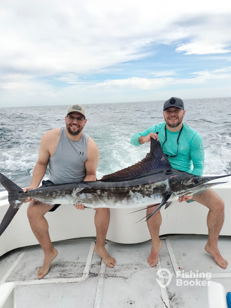 Mazatlán Report Photo 0