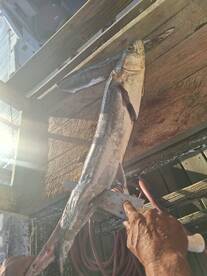 Oranjestad Report Photo 2