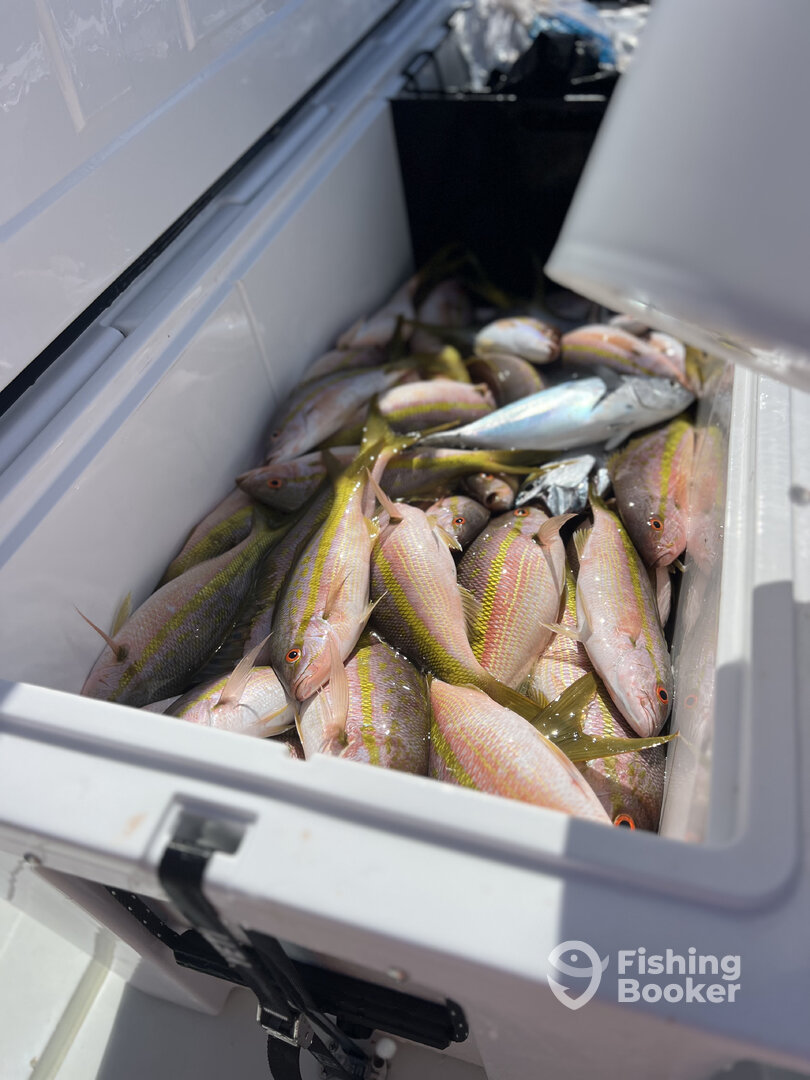 Miami Report Photo 0