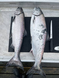 1st fish before our 2nd rod could even g