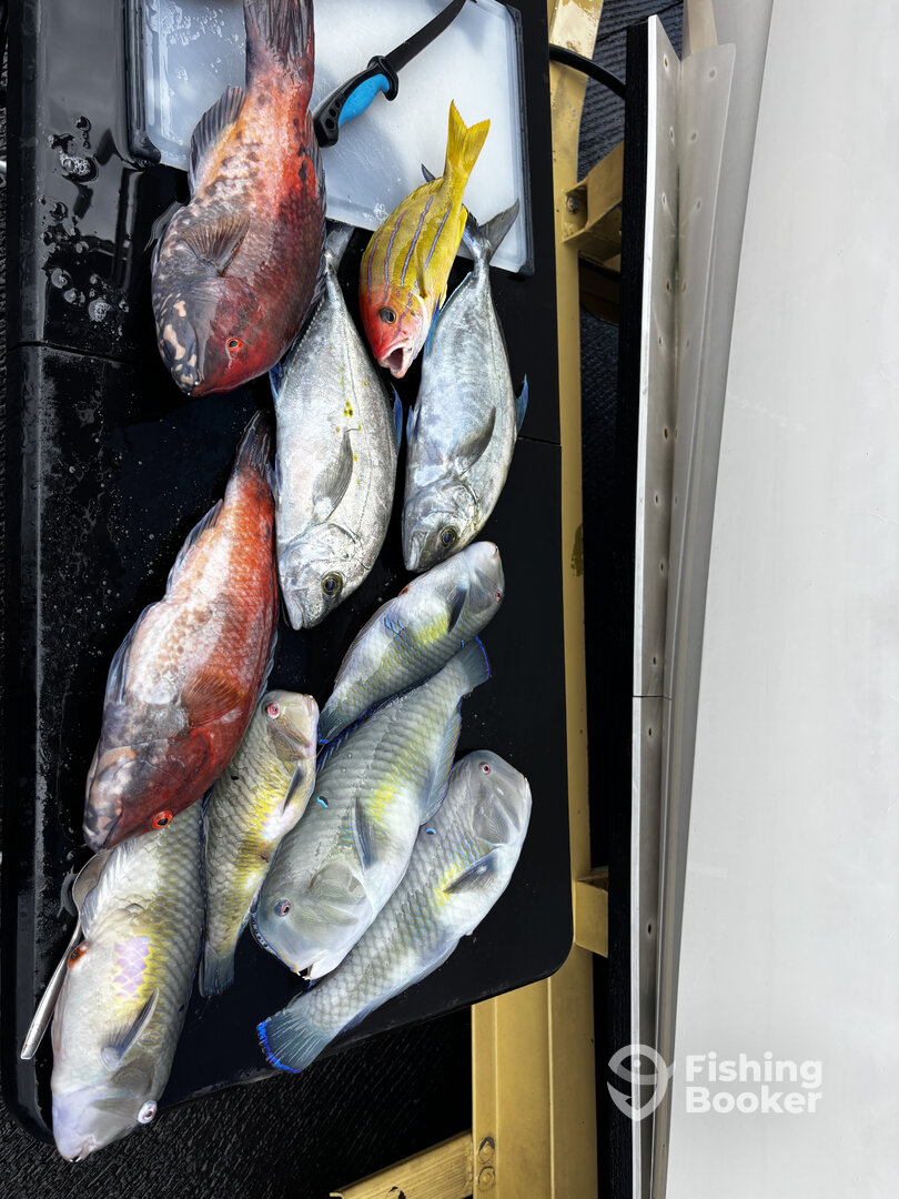 Kailua-Kona Report Photo 0