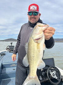 Booking for the Spring