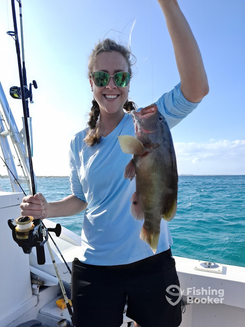 Noord Report Photo 0