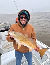 Sulphur Report Photo 2