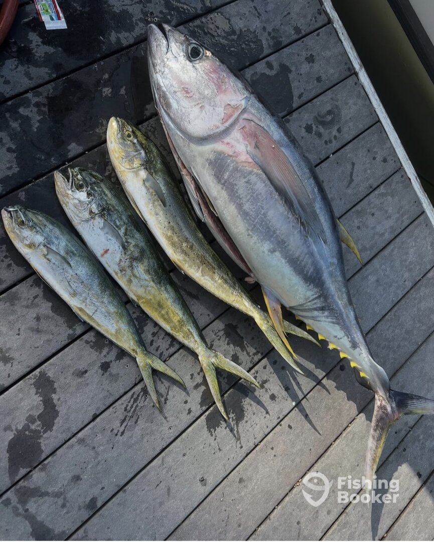 North Sound Estates Report Photo 0