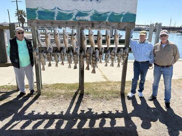 Aransas Pass Report Photo 1