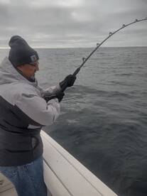 Good winter blue shark fishing 
