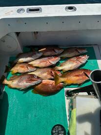 Herradura Report Photo 1