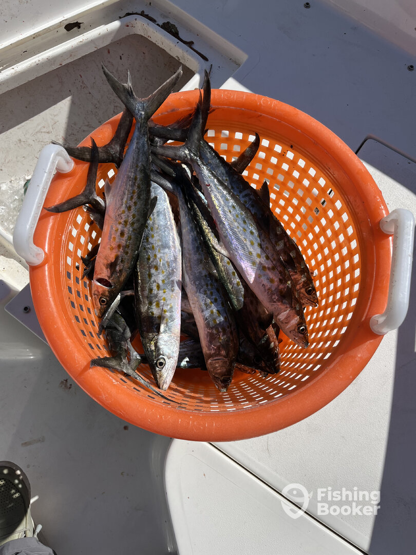 Panama City Report Photo 0