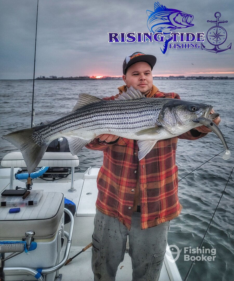 Milford Report Photo 0