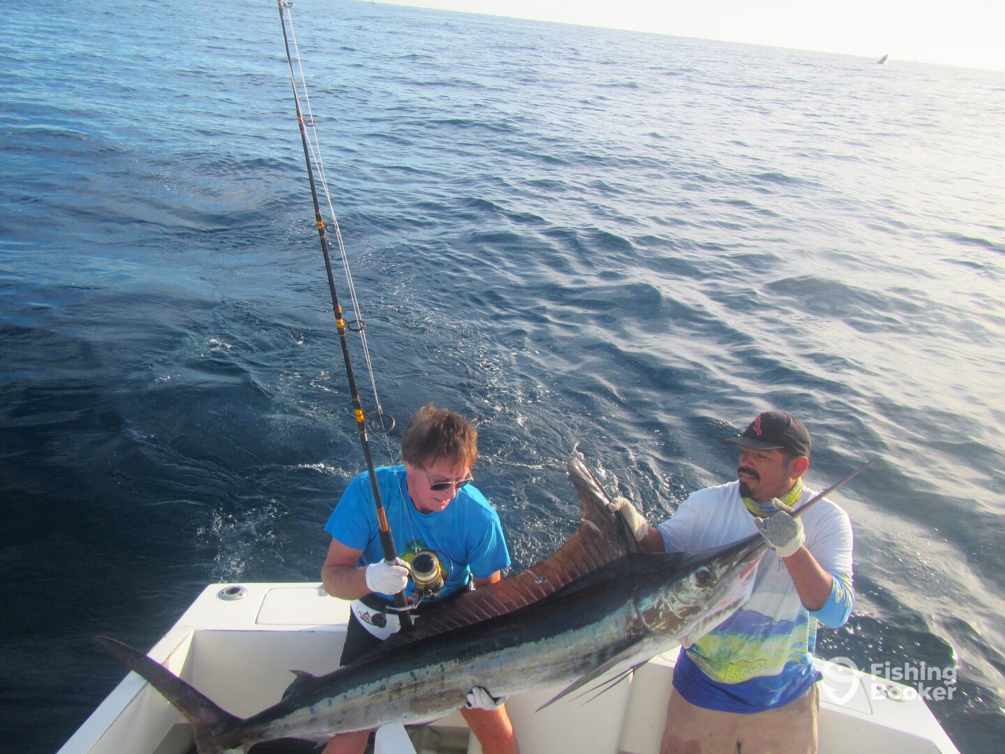 Cabo San Lucas Report Photo 0