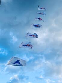 GREAT FISHING TODAY WITH CAPT TACO OFF F