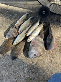 Pass Christian Report Photo 2