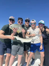 Holmes Beach Report Photo 2