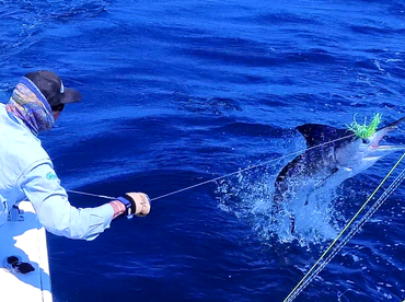 Sydney Report Photo 1