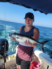 Nuevo Vallarta Report Photo 1