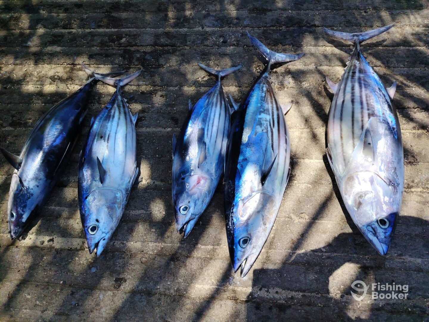 Trou Aux Biches Report Photo 0