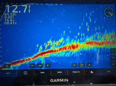 Boom 100 plus fish day! 