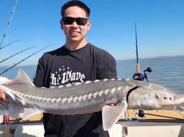 Richmond Report Photo 1