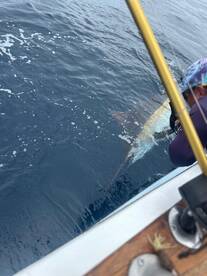 Herradura Report Photo 2