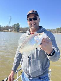 Crappie fishing Lake Wylie