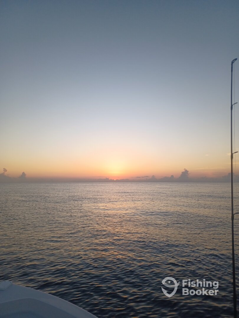 Jupiter Report Photo 0