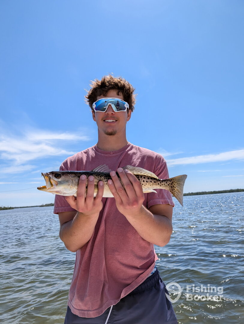 Placida Report Photo 0