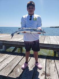 San Pedro Report Photo 1